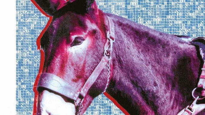 protomartyr-ultimate-success-today