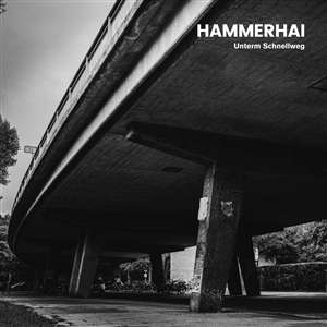 hammerhai_untermschnellweg