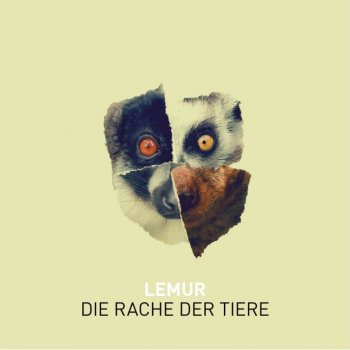 lemur die rache