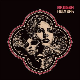 mr_bison-ho
