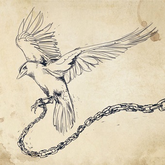 sitka_zugvogel