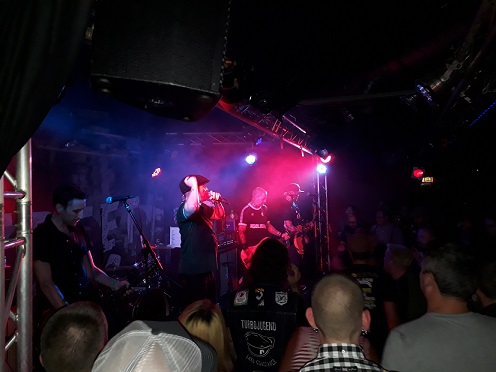 streetdogs_monkeys2